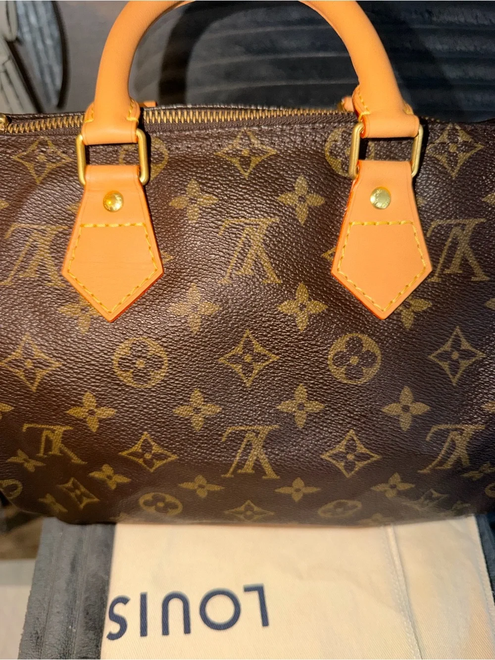 Louis Vuitton Speedy 25 bag